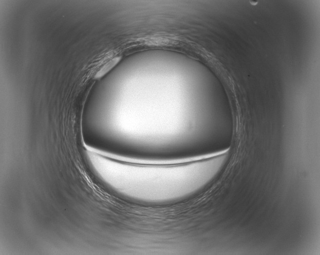 X0000086310201200703301005