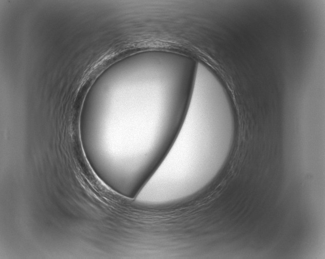 X0000086310203200703301005