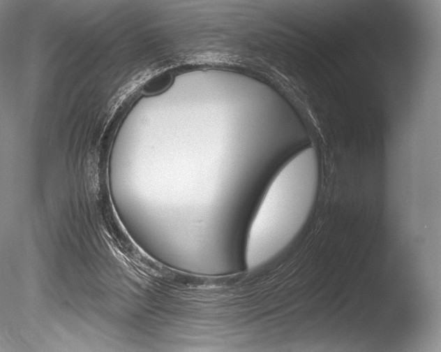 X0000086310204200703301005