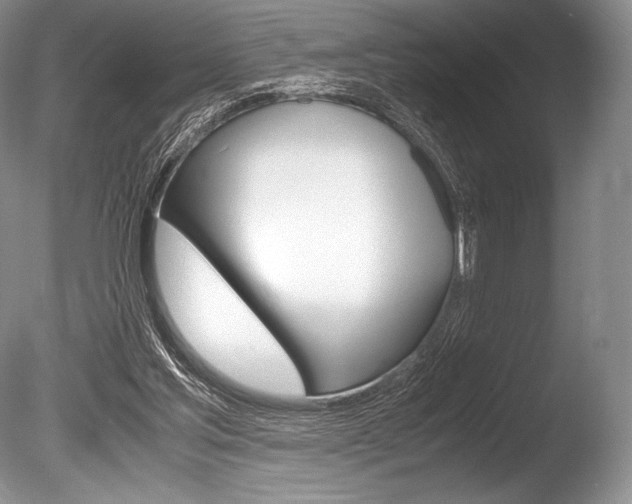 X0000086310205200703301005