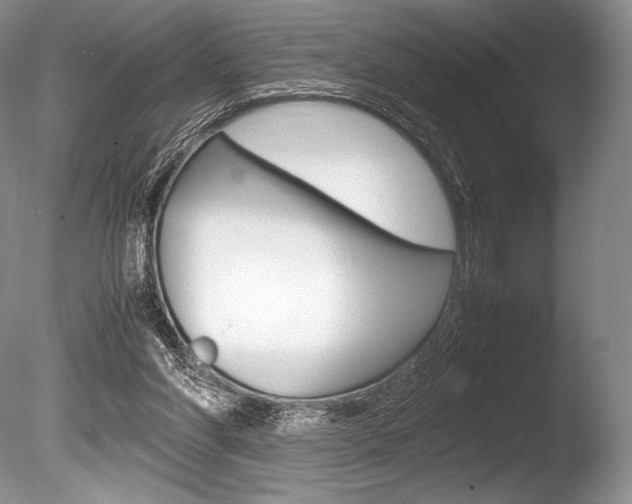 X0000086310206200703301005
