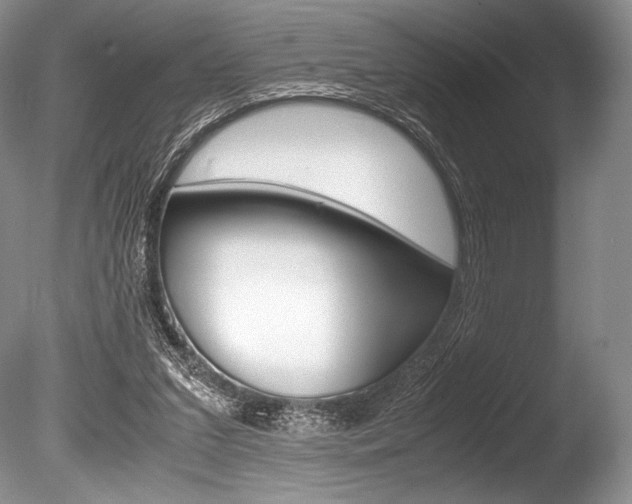 X0000086310207200703301005