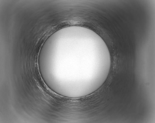 X0000086310210200703301005