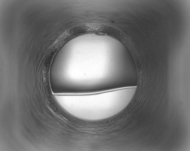 X0000086310215200703301005