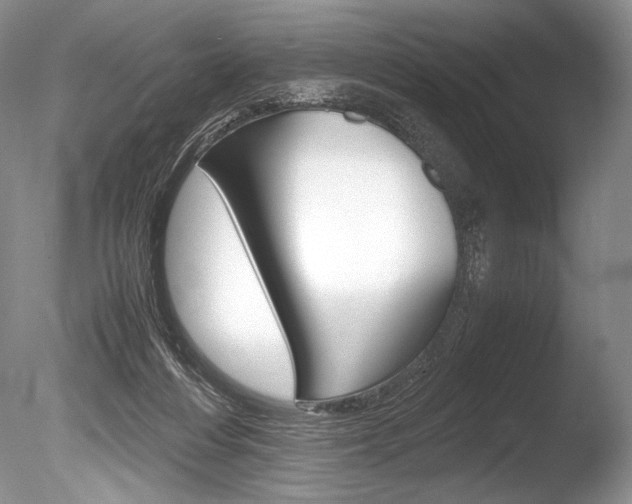 X0000086310216200703301005