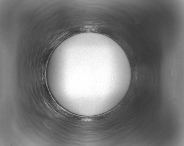 X0000086310218200703301005
