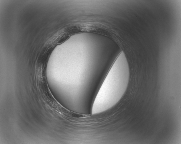 X0000086310219200703301005