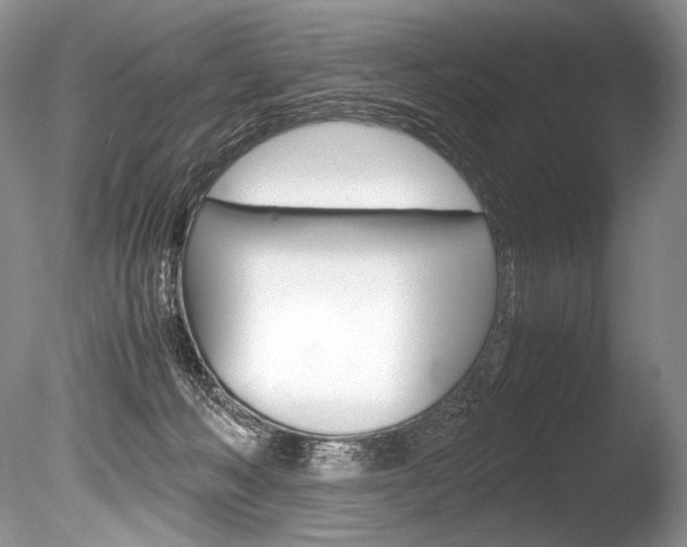 X0000086310222200703301005
