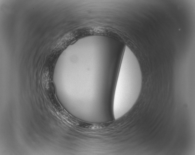 X0000086310223200703301005