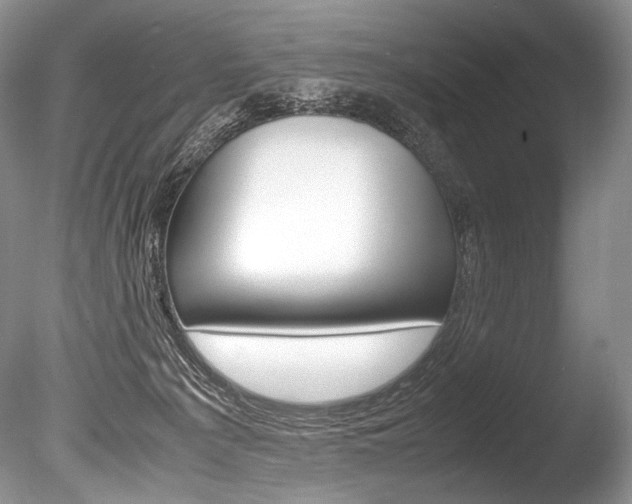 X0000086310225200703301005
