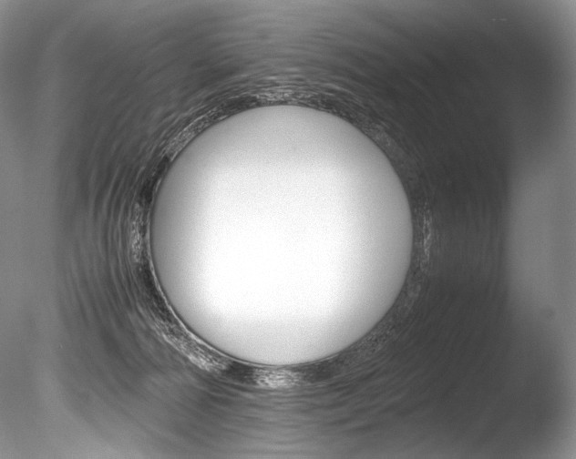 X0000086310226200703301005
