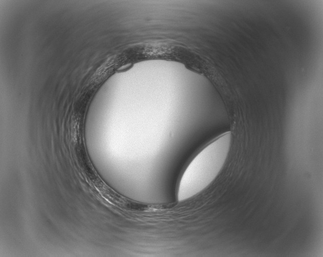 X0000086310227200703301005