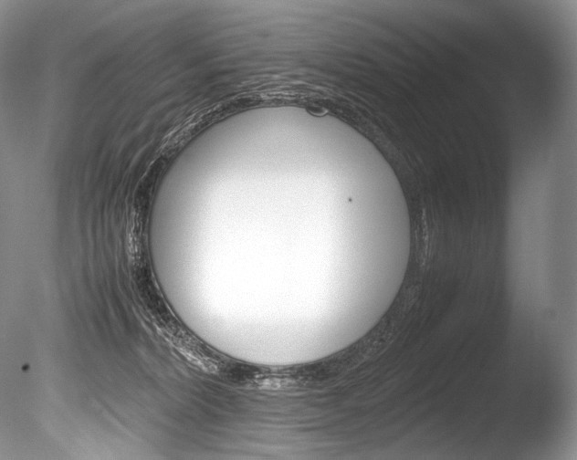 X0000086310228200703301005