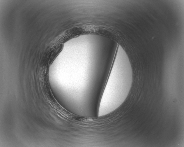 X0000086310229200703301005