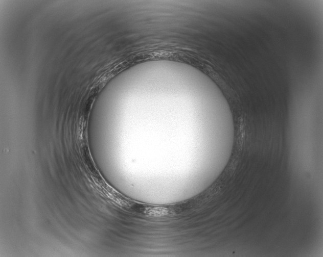 X0000086310230200703301005
