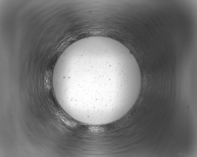 X0000086310234200703301004