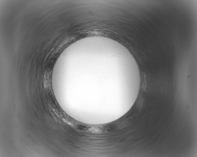 X0000086310236200703301004