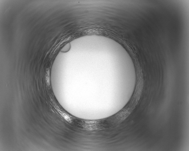 X0000086310240200703301004