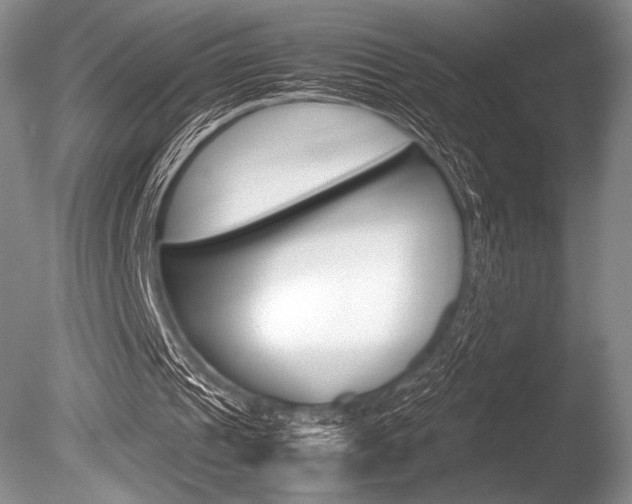 X0000086310241200703301004