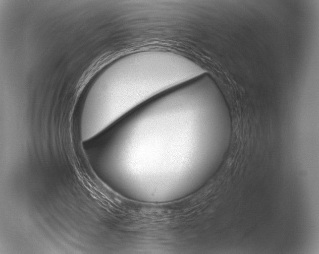 X0000086310242200703301004