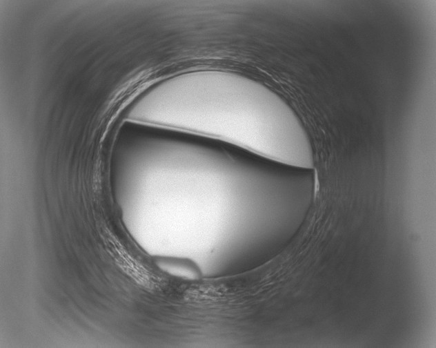 X0000086310243200703301004