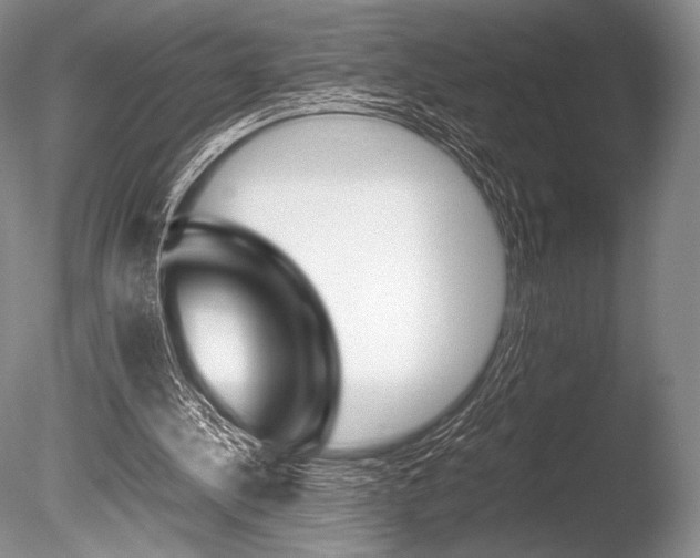 X0000086310244200703301004