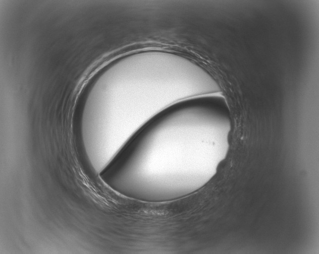 X0000086310247200703301004
