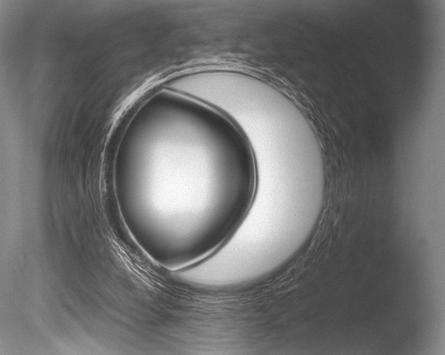 X0000086310248200703301004