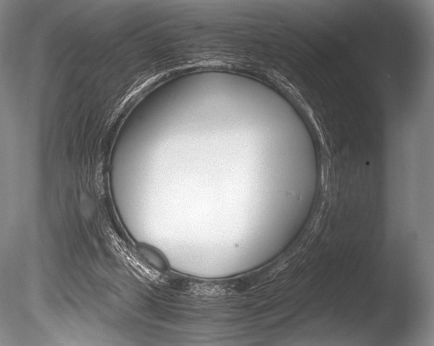 X0000086310249200703301004