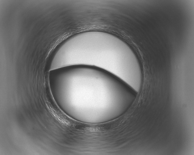 X0000086310250200703301004