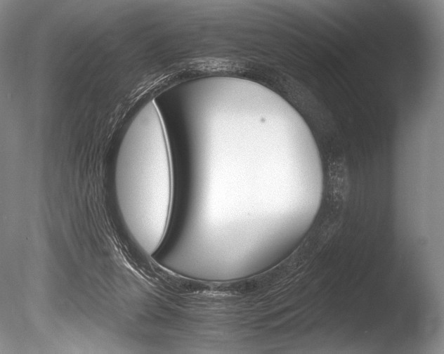 X0000086310255200703301004