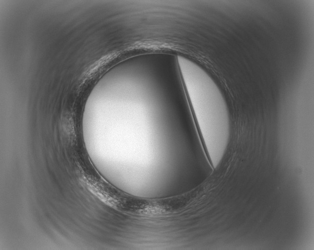 X0000086310256200703301004
