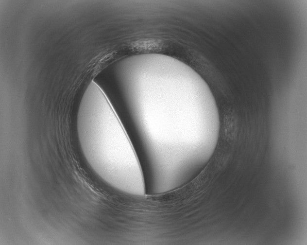 X0000086310259200703301004