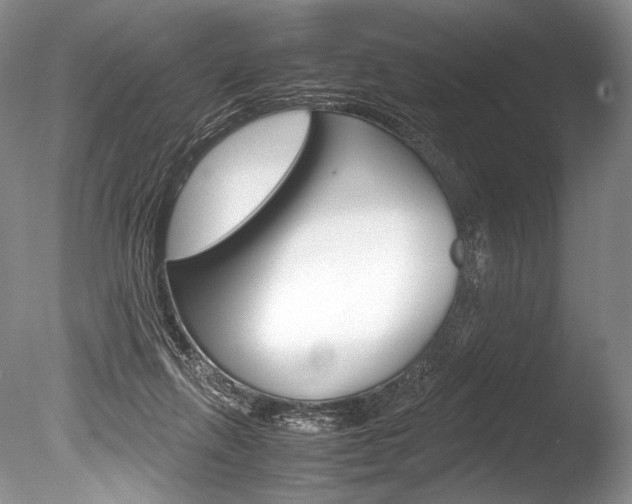 X0000086310263200703301004