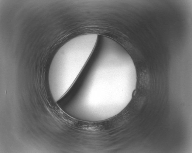 X0000086310267200703301004