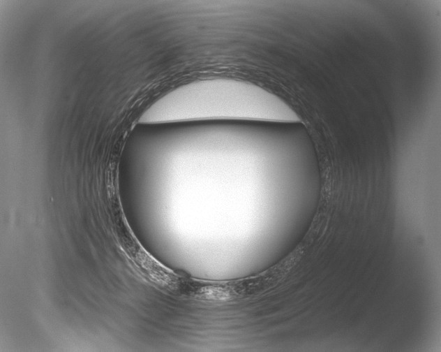X0000086310272200703301004