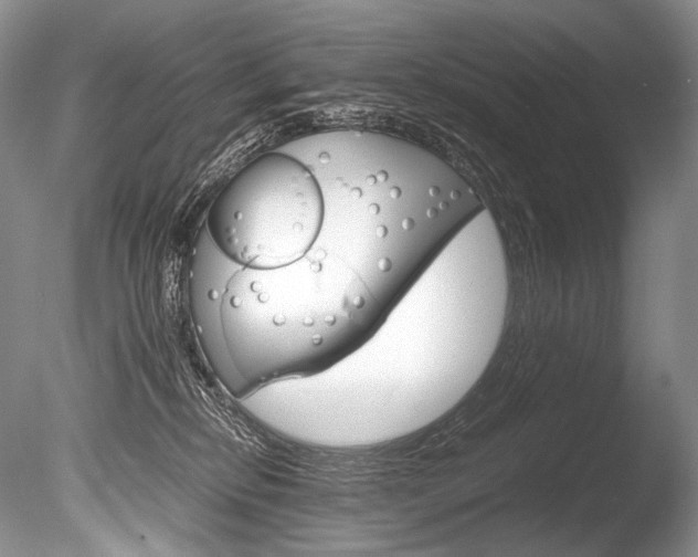 X0000086310278200703301004