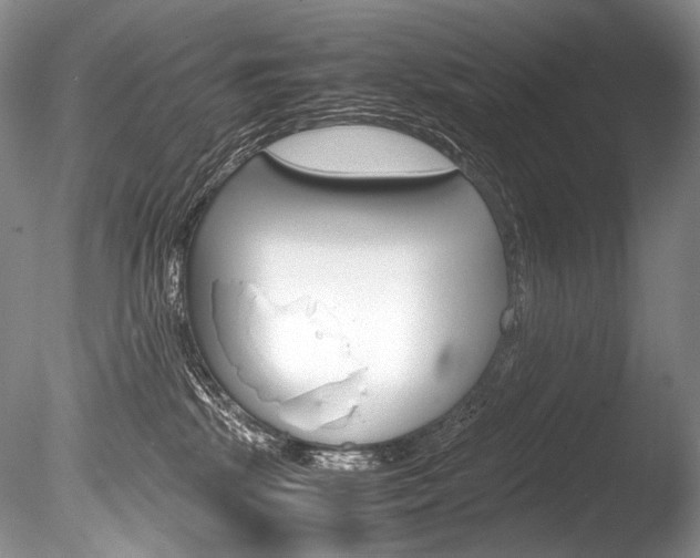 X0000086310281200703301004