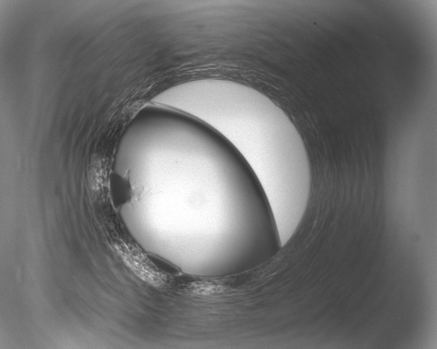 X0000086310284200703301004