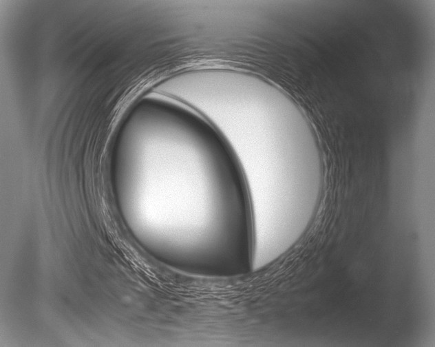 X0000086310289200703301004