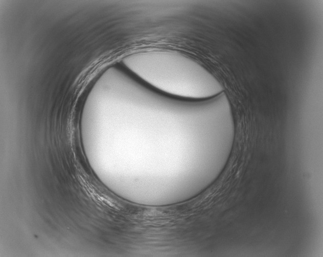 X0000086310290200703301004