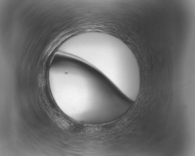 X0000086310291200703301004