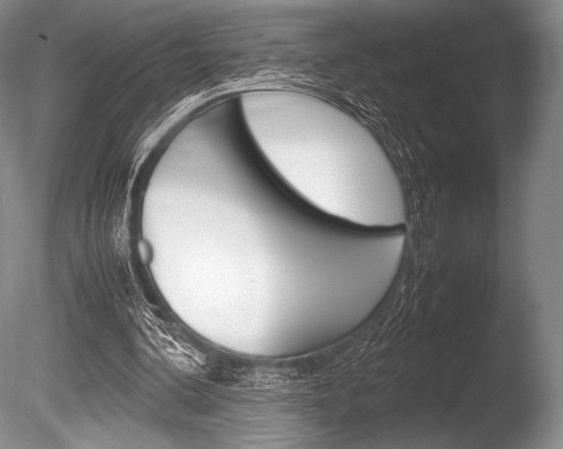 X0000086310292200703301003