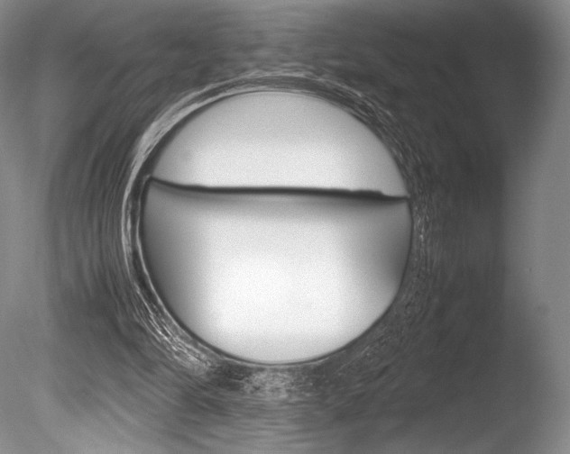 X0000086310294200703301003
