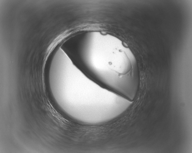 X0000086310296200703301003