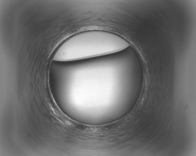 X0000086310297200703301003