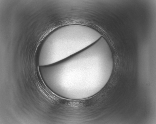 X0000086310298200703301003