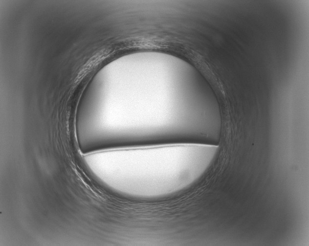 X0000086310299200703301003