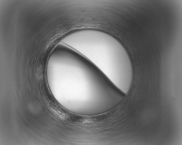X0000086310303200703301003
