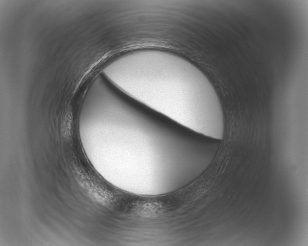X0000086310304200703301003
